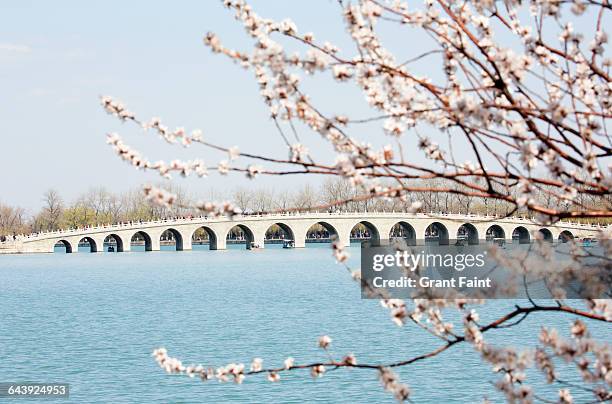 bridge - summer palace beijing stock pictures, royalty-free photos & images