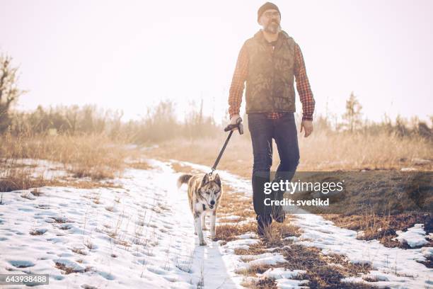 walk with my furry friend! - middle age man and walking the dog stock pictures, royalty-free photos & images