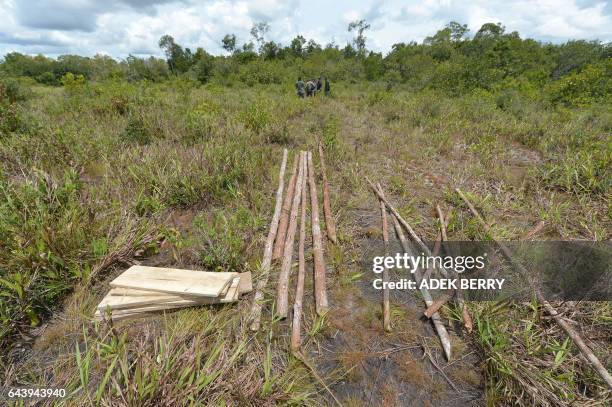 This picture taken in Kendawangan, West Kalimantan on Borneo island on February 14, 2017 shows woods from illegal logging in nature preserve or Cagar...