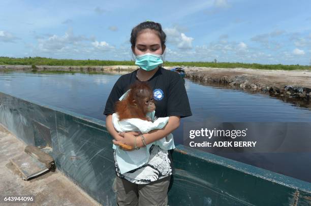 This picture taken in Kendawangan, West Kalimantan on Borneo island on February 14, 2017 shows Devi Sumantri holding Vena, a seven-month-old baby...