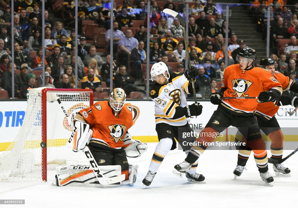 NHL: FEB 22 Bruins at Ducks