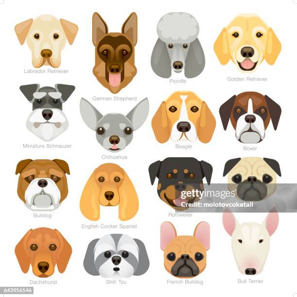einfache grafische beliebter hunderassen-icon-set - animal heads stock-grafiken, -clipart, -cartoons und -symbole