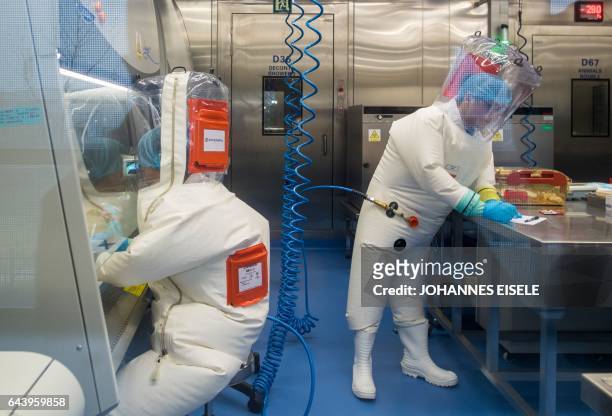 Workers are seen next to a cage with mice inside the P4 laboratory in Wuhan, capital of China's Hubei province, on February 23, 2017. - The P4...