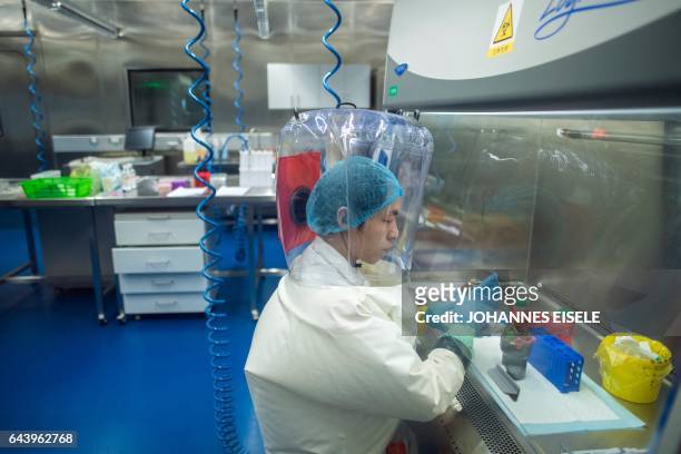 Worker is seen inside the P4 laboratory in Wuhan, capital of China's Hubei province, on February 23, 2017. - The P4 epidemiological laboratory was...
