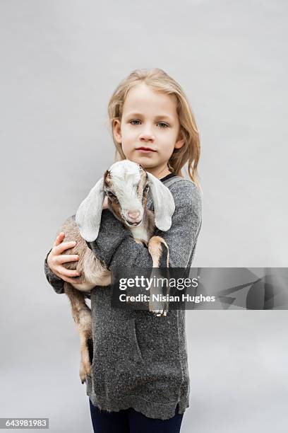 young girl holding baby goat - one baby girl only bildbanksfoton och bilder