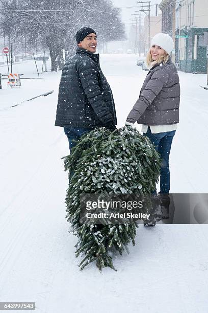 couple dragging christmas tree in snow - drag christmas tree stock pictures, royalty-free photos & images