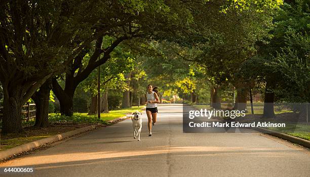 caucasian woman and dog jogging on neighborhood street - jogging park stock-fotos und bilder