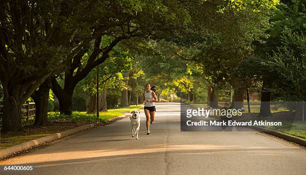 caucasian woman and dog jogging on neighborhood street - street running stock pictures, royalty-free photos & images