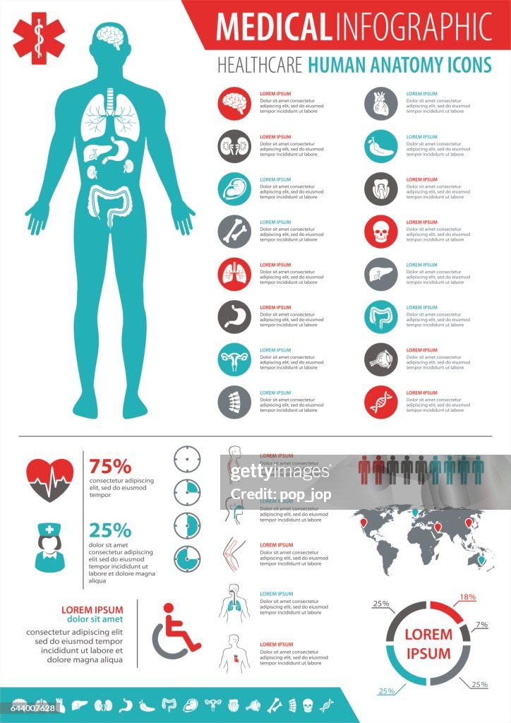 Medical Infographic