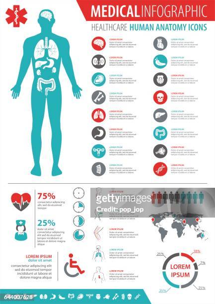 medical infographic - human internal organ stock illustrations