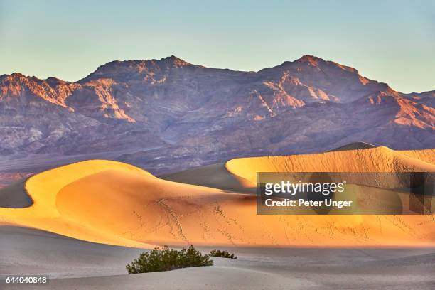 death valley national park,california,usa - mesquite flat dunes stock pictures, royalty-free photos & images