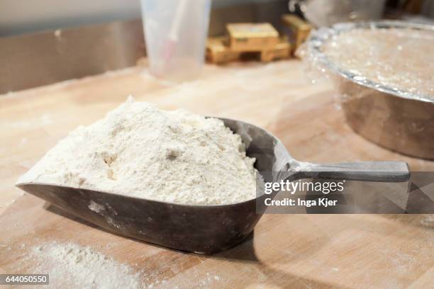 Berlin, Germany Spelt flour in a scoop on February 06, 2017 in Berlin, Germany.