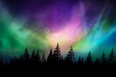 Multicolored northern lights (Aurora borealis) on Canadian forest