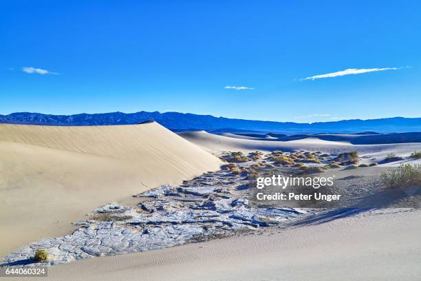 death valley national park,california,usa - mesquite flat dunes stock pictures, royalty-free photos & images