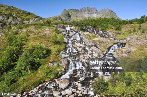 savage waterfall on a norwegian island - ciel sans nuage 個照片及圖片檔