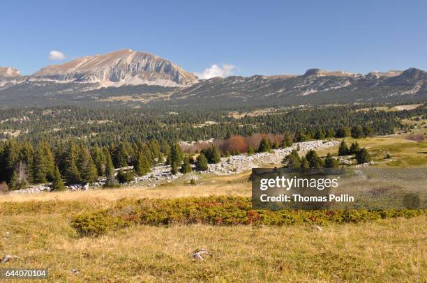vercors massif plateau - parc naturel régional du vercors photos et images de collection