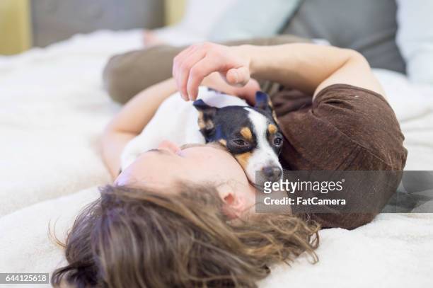man snuggling with adorable dog on bed in the morning - hairy fat man stock pictures, royalty-free photos & images