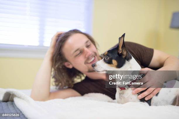 man vlijen met schattige hond op bed in de ochtend - fat hairy guys stockfoto's en -beelden