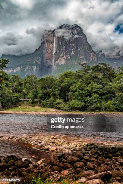 angel falls view from churun river camp. canaima national park - angel falls stock pictures, royalty-free photos & images