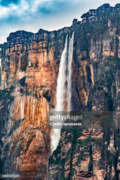 angel falls close-up view at auyan tepui. canaima national park - tepui venezuela stock pictures, royalty-free photos & images