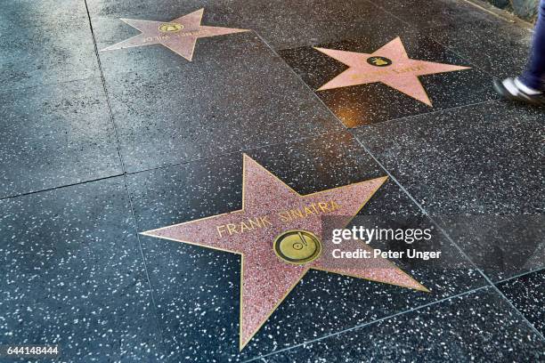 hollywood walk of fame,los angeles,california,usa - hollywood stars stock-fotos und bilder