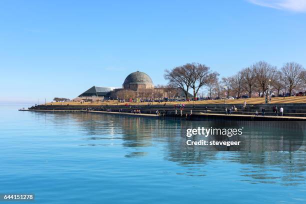 adler planetarium on lake michigan, chicago - adler planetarium stock pictures, royalty-free photos & images