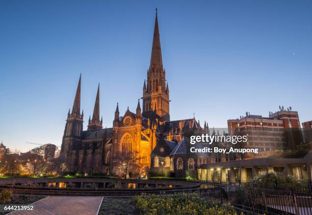 st patrick's cathedral the biggest church in melbourne, australia in the evening time. - st-patricks-cathedral-melbourne stock pictures, royalty-free photos & images