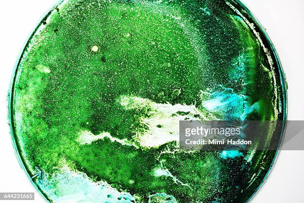 green dyes in petri dish~earth imitation - planet earth texture stock pictures, royalty-free photos & images
