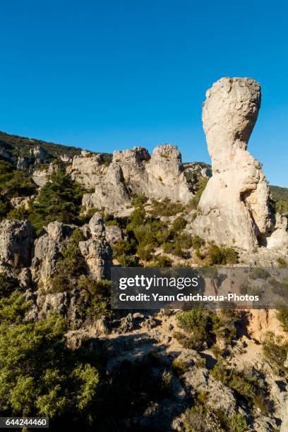 cirque de moureze, moureze, herault, france - cirque de moureze 個照片及圖片檔