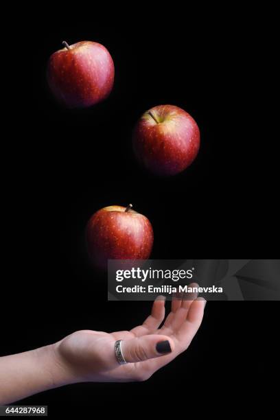 red apples falling - gravity apple stock pictures, royalty-free photos & images