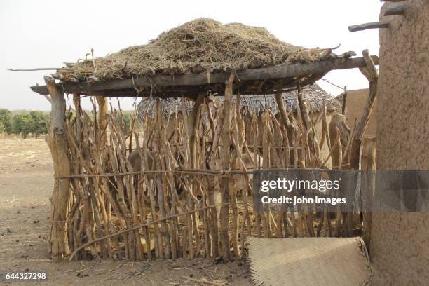 a shed for pets in the village - animaux domestiques 個照片及圖片檔