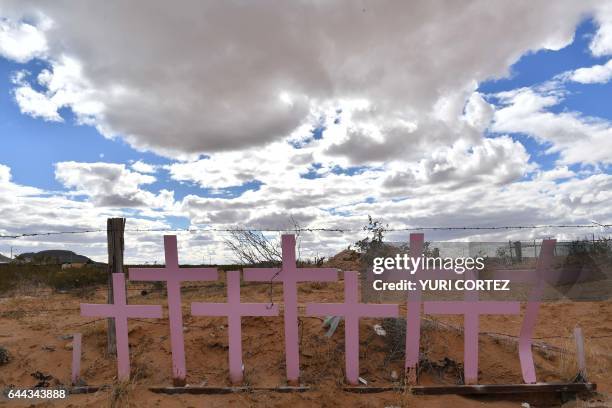 Crosses placed in memory of eight victims of feminicide which were found at Lomas del Poleo are pictured on February 19, 2017 in Ciudad Juarez,...