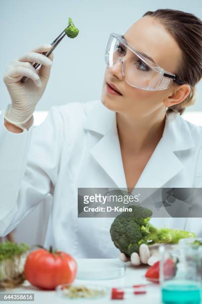 laboratory - examining food stock pictures, royalty-free photos & images