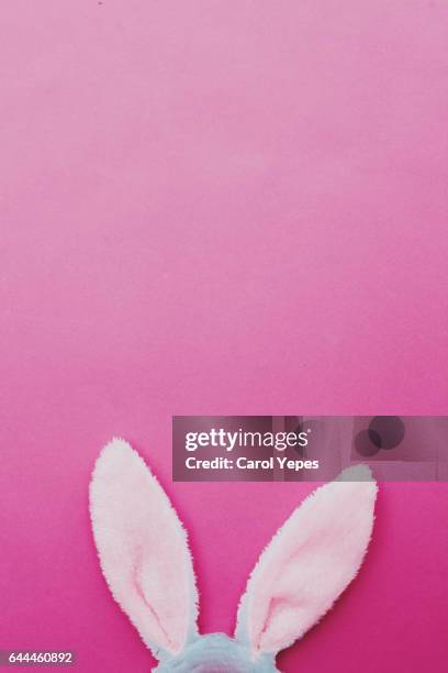 easter bunny ears in pink background - osterhase stock-fotos und bilder