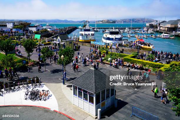 pier 39 - fishermans wharf stock pictures, royalty-free photos & images