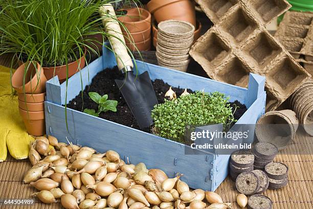Kräuter und Zwiebeln mit Gartenutensilien |Herbs and onions with garden utensils|