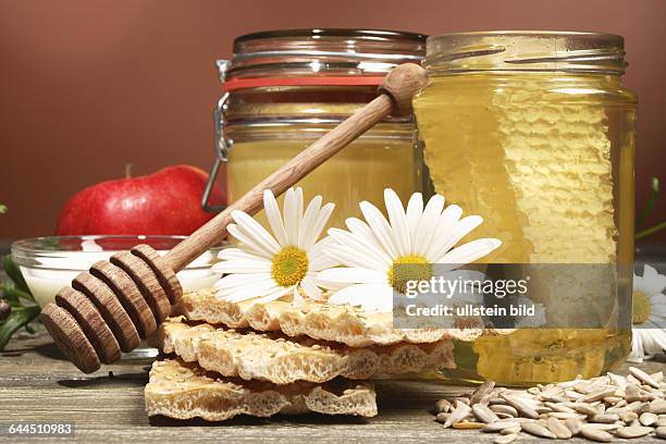 Honig mit Knckebrot, Apfel und Sonnenblumenkerne |Honey with crispbread, apple and sunflower seeds|