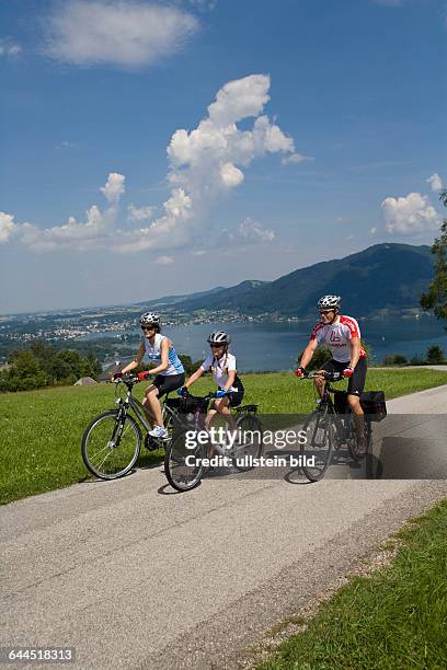 Familie mit dem Fahrrad in alpiner Landschaft