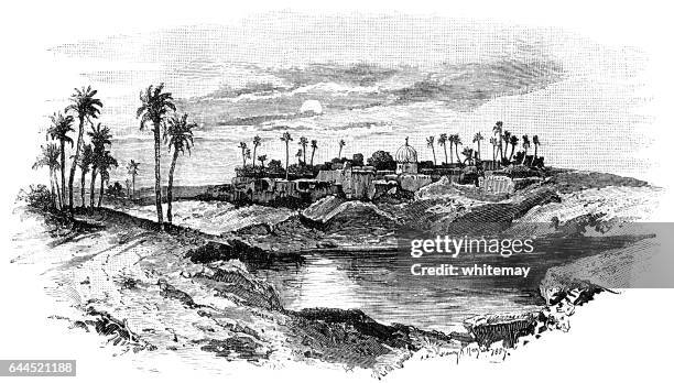 site of old memphis, egypt - memphis egypt stock illustrations