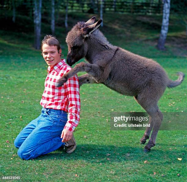 Vertraut Photos and Premium High Res Pictures - Getty Images