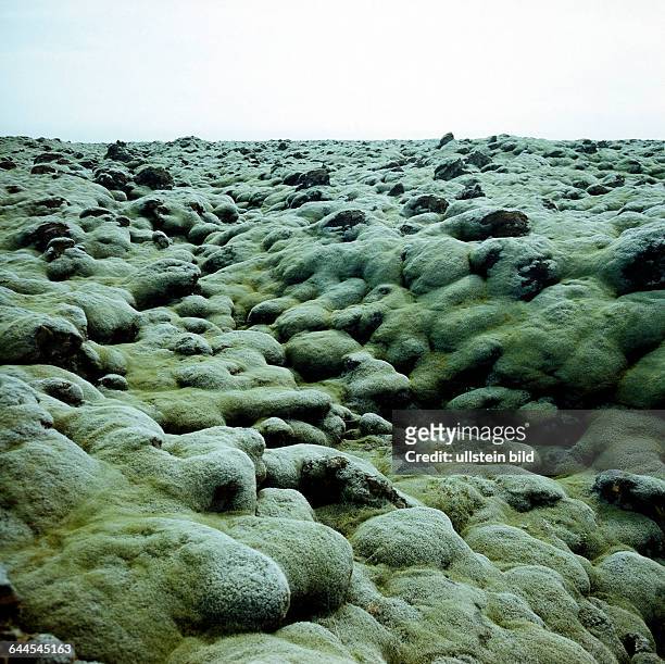 Riesige moosbedeckte Lavafelder sind stumme Zeugen verheerender Ausbrueche der Katla im Myrdalsjoekull und anderer gefuerchteter Vulkane an der...