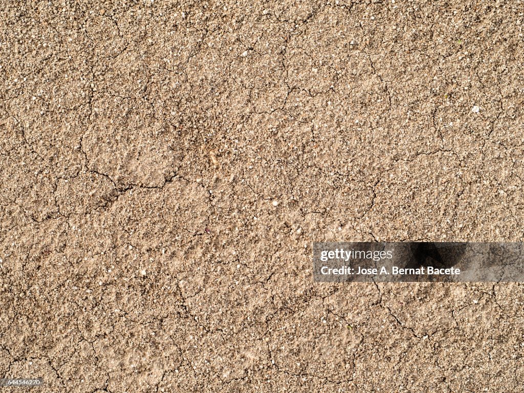 Full frame of the textures and colors of the soil of the land of a field dry