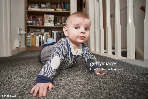 a 7 month old baby looking at the camera - newnaivetytrend ストックフォトと画像