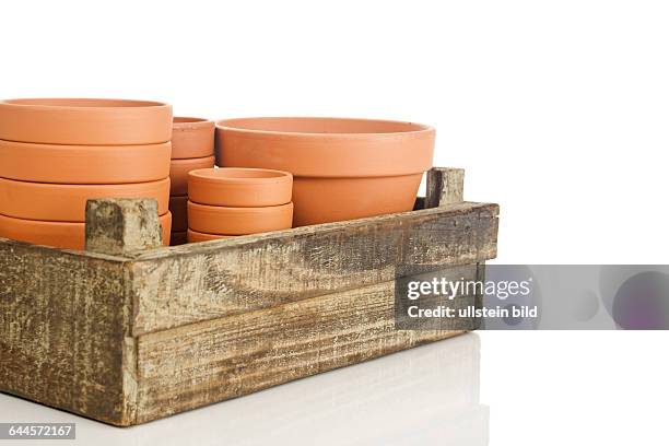 Holzkiste mit Blumentöpfe |Wooden box with flower pots|