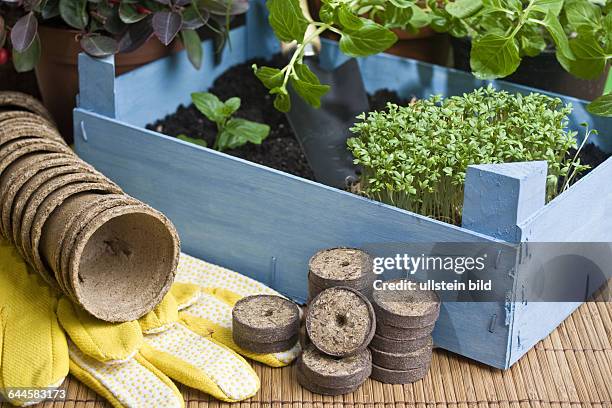 Kräuter mit einer Holzkiste und Gartenutensilien |Herbs with a wooden box and garden utensils|