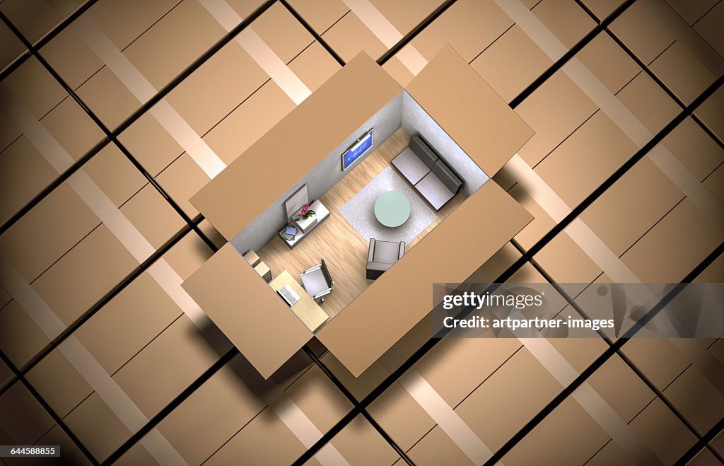 Cardboard box filled with furniture