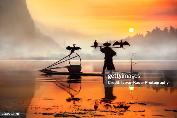 sunrise silhouette of cormorant fisherman, yangshuo county, china - cormorant stock pictures, royalty-free photos & images