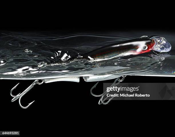 139 Shad Fishing Stock Photos, HighRes Pictures, and Images Getty Images