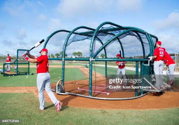 St Louis Cardinals Hitting Coach John Mabry pitches to St Louis Cardinals Infielder Matt Adams , St Louis Cardinals Infielder Jhonny Peralta and St...