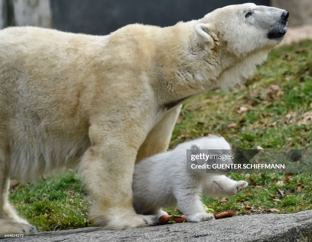 GERMANY-ANIMALS